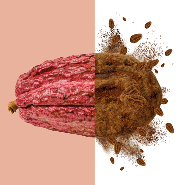 Ruby - Image 4