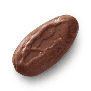 Gianduja
