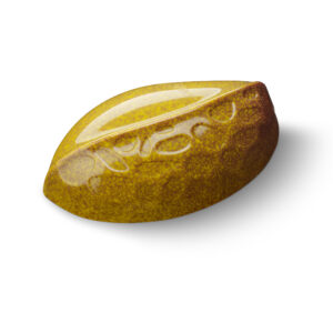 Passion fruit
