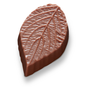 Autumn leaf gianduja