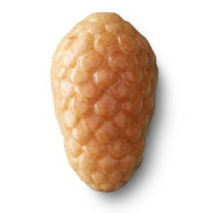 Pine cone almond
