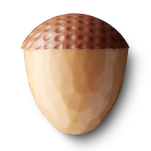 Acorn caramel