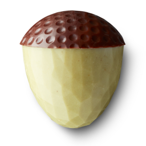 Acorn pistachio