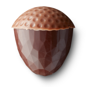 Acorn dark