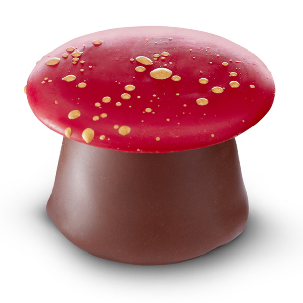 Mushroom marzipan milk