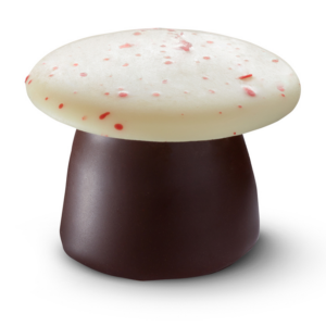 Mushroom marzipan dark