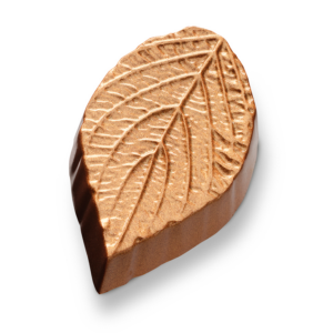Autumn leaf milk bronze
