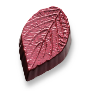 Autumn leaf dark red